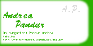 andrea pandur business card